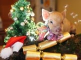 Поздравляем с наступающим 2019 годом! Поздравляем с наступающим 2019 годом!