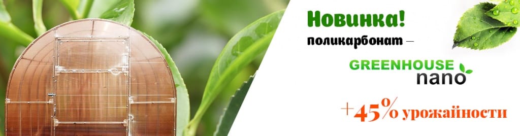 Banner4.jpg Banner4.jpg