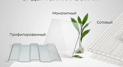 Какой поликарбонат лучше для теплицы: сравнение сотового, профилированного и монолитного